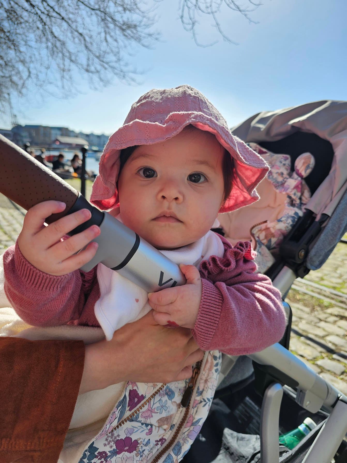 Original photo before conversion to bespoke colouring book page